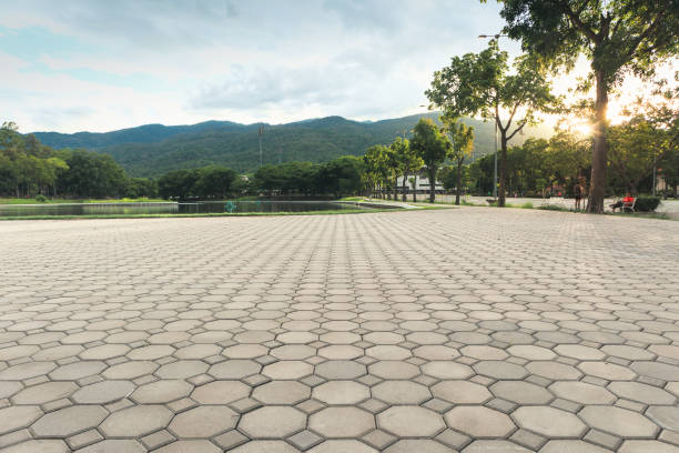 Best Concrete Paver Driveway  in Pierson, FL